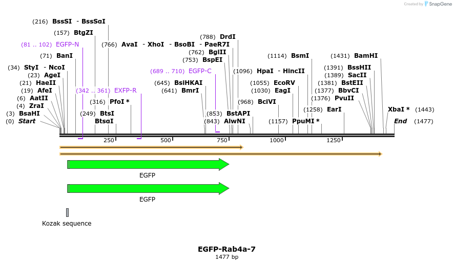 87332_map