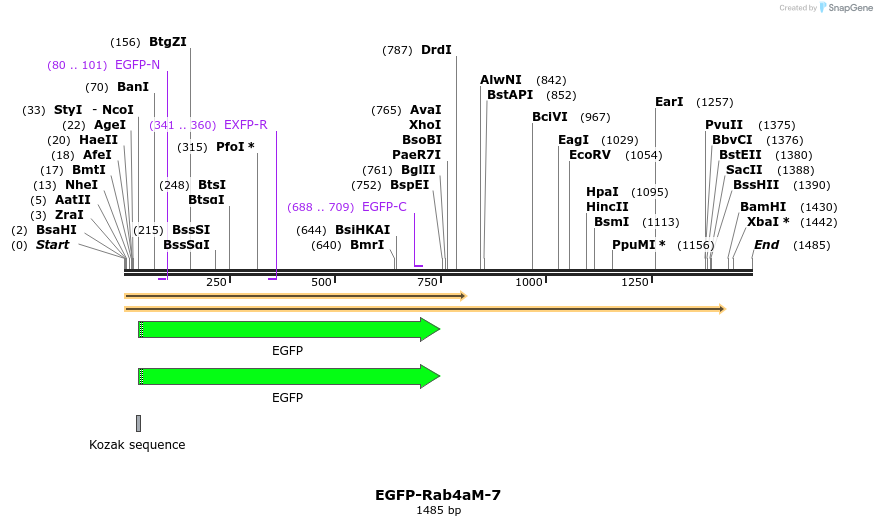 87333_map