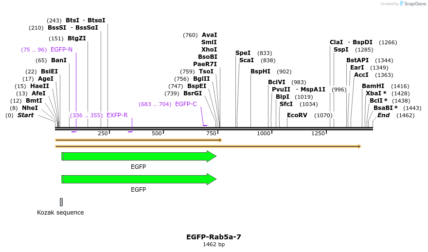 87334_map
