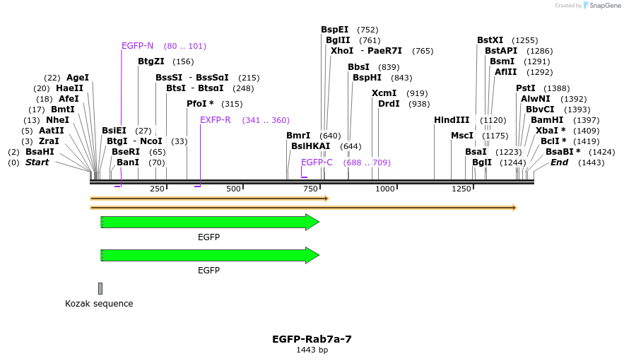 87335_map