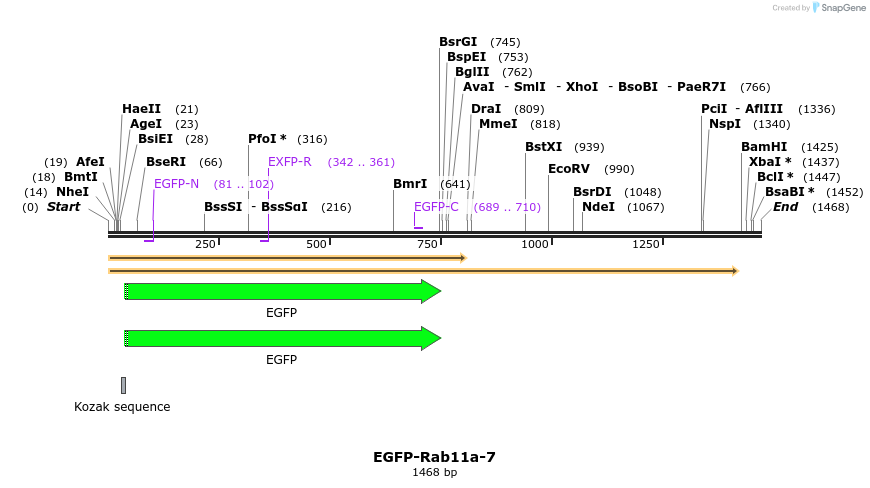 87336_map