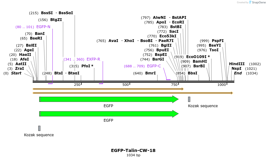 87338_map