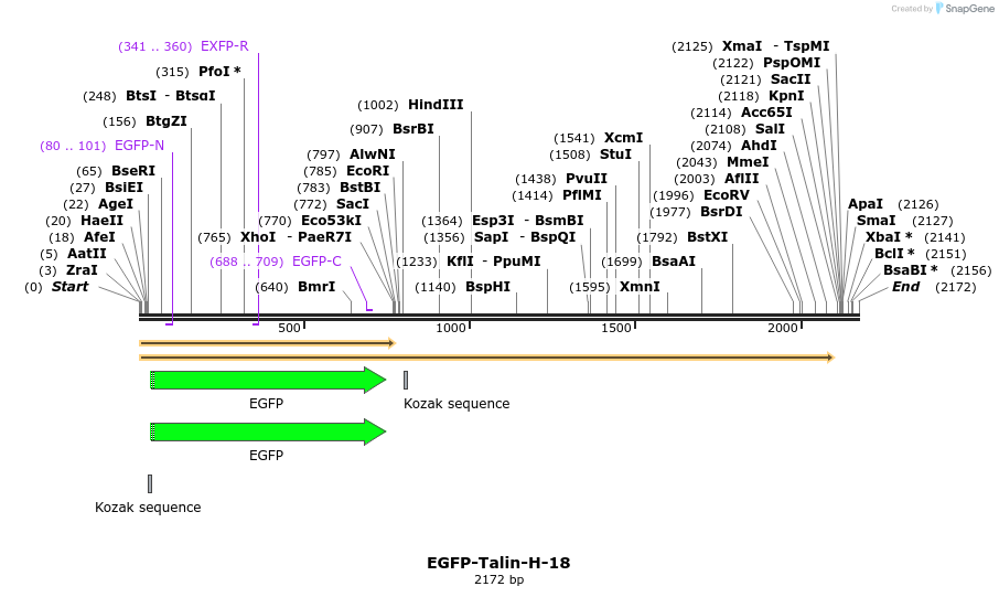 87341_map