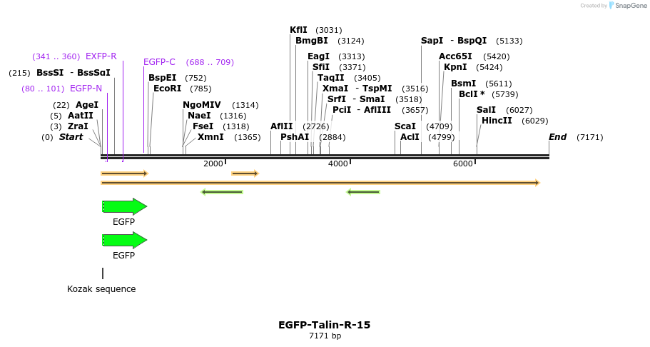 87342_map
