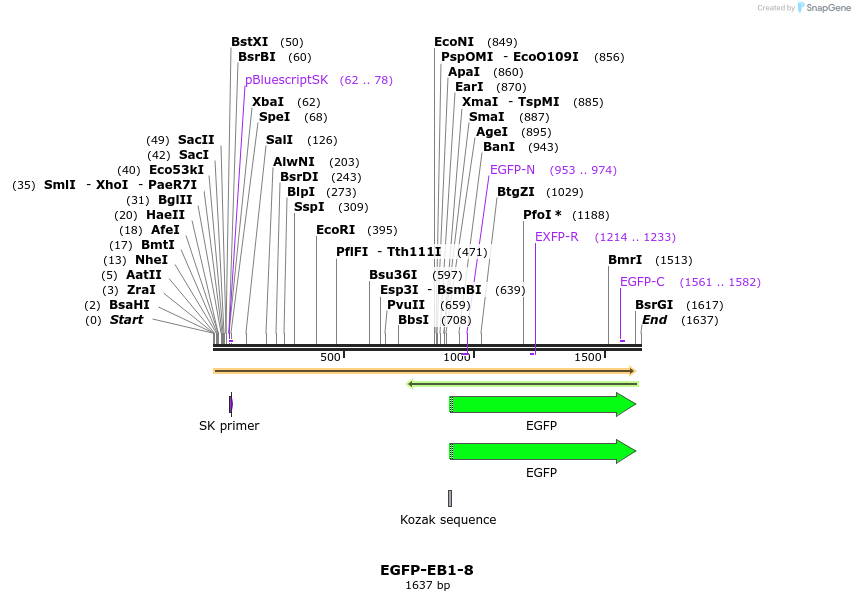87344_map