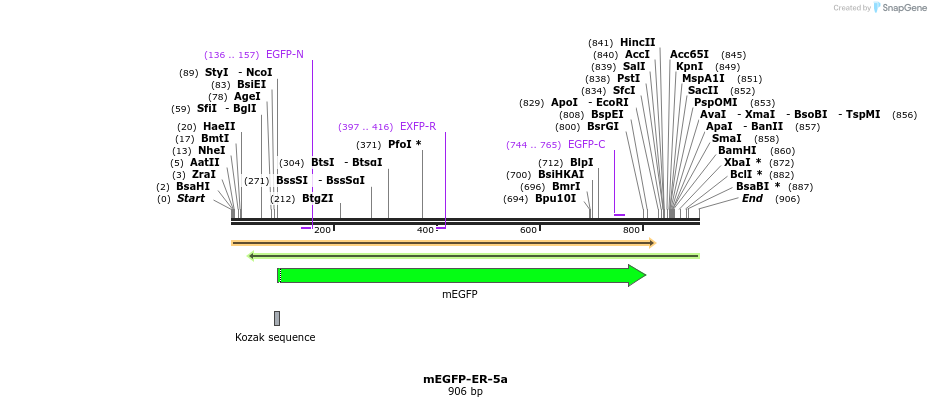 87348_map