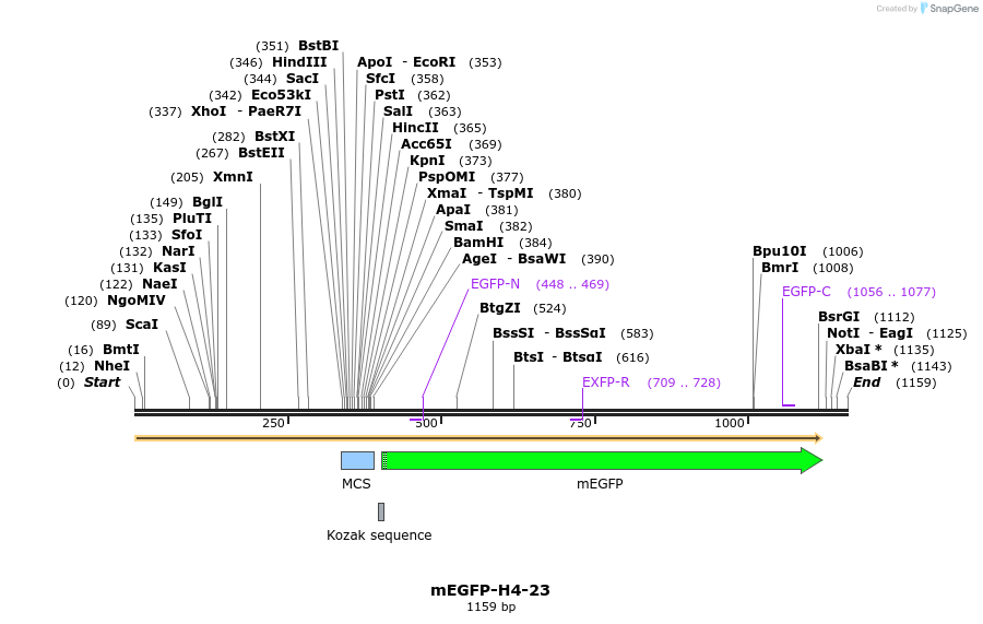 87356_map