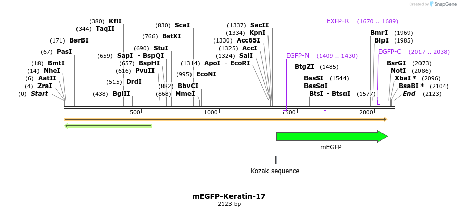 87358_map
