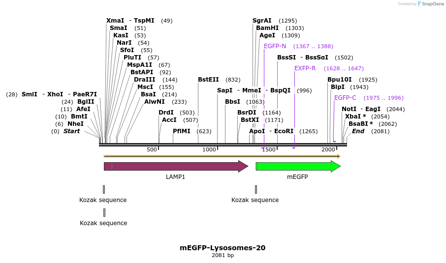 87360_map
