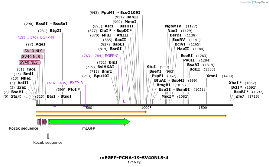 87362_map