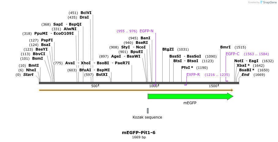 87363_map