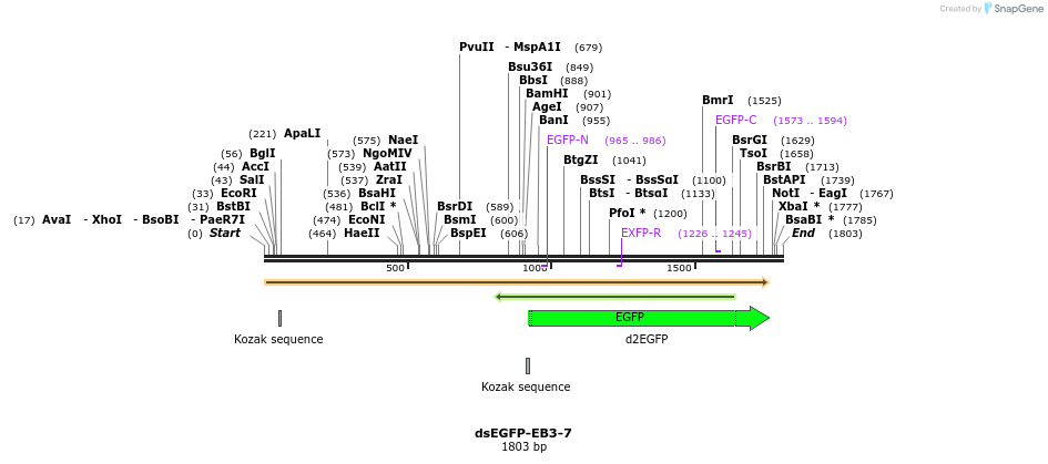 87367_map
