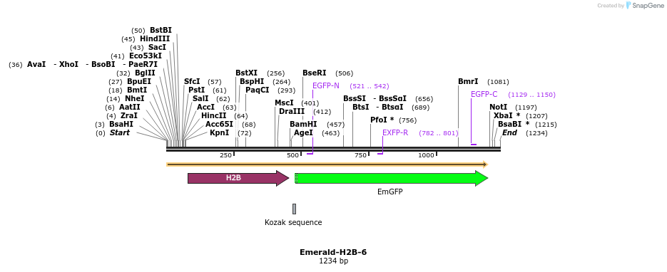 87368_map