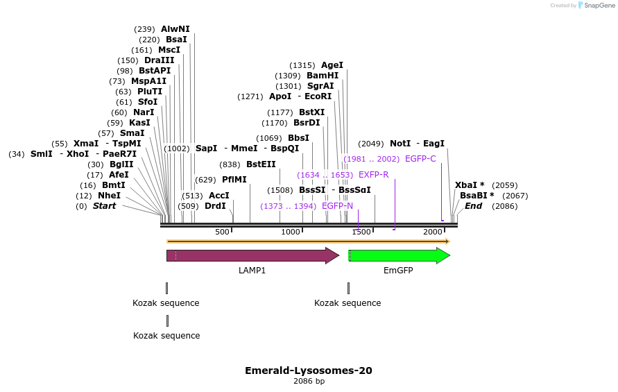 87369_map