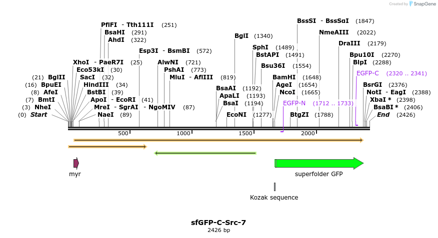 87371_map