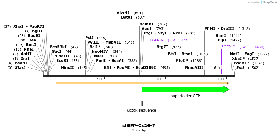 87372_map