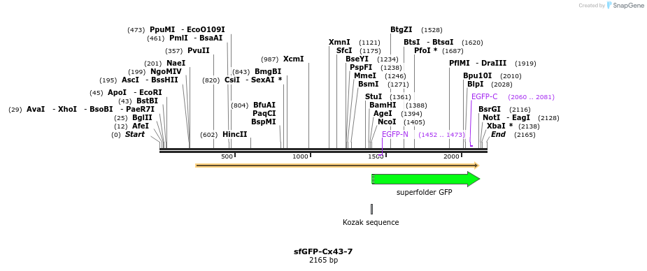87373_map