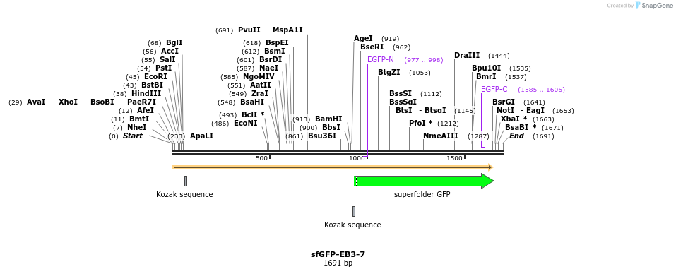 87374_map