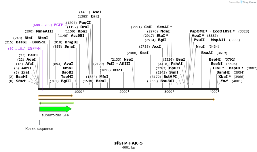 87377_map