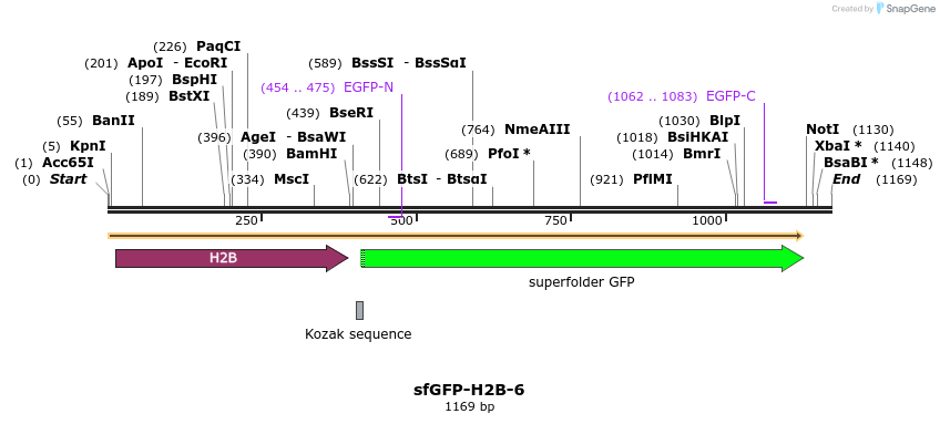 87379_map