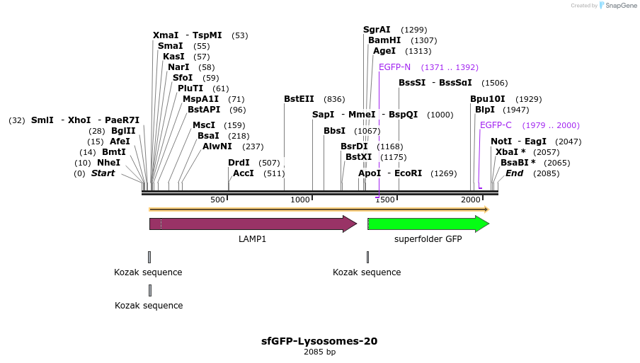87380_map
