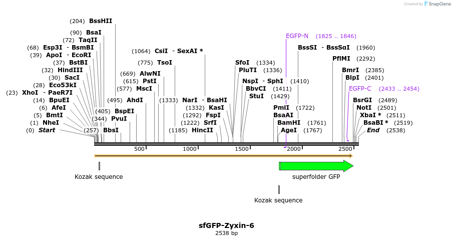 87385_map