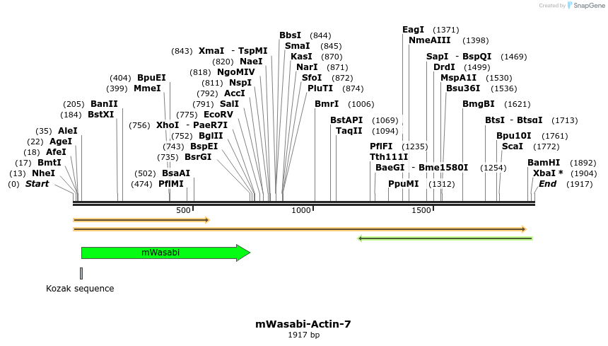87386_map