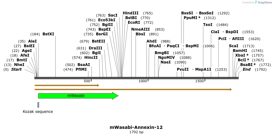 87388_map