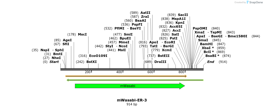 87395_map