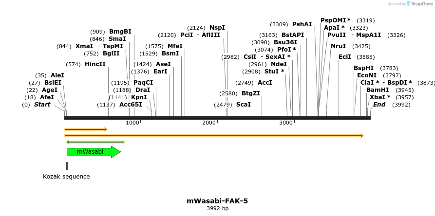 87396_map