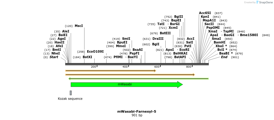 87397_map