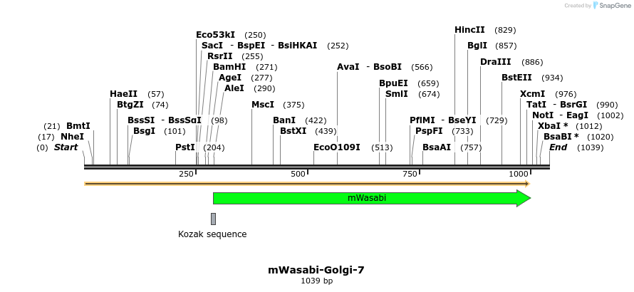 87398_map