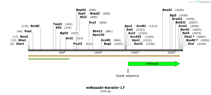 87400_map
