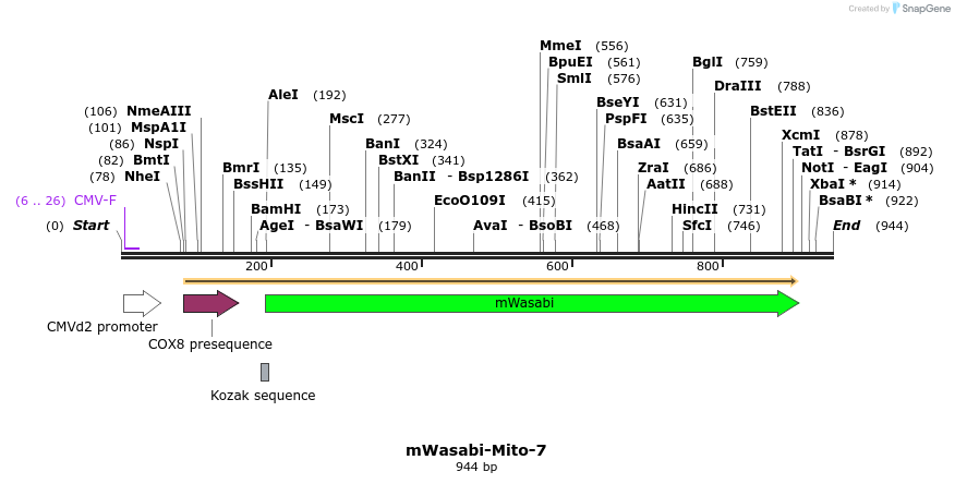 87402_map