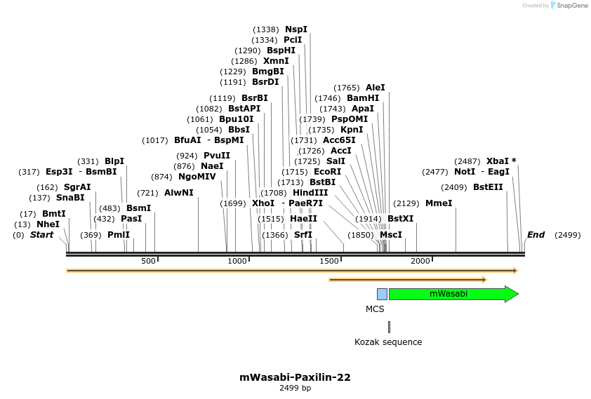 87403_map