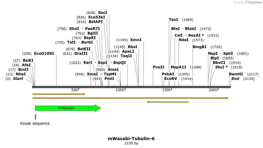 87404_map