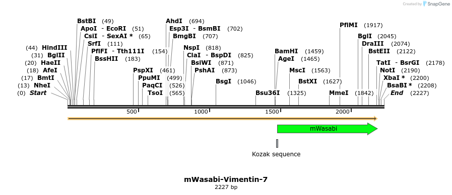 87405_map