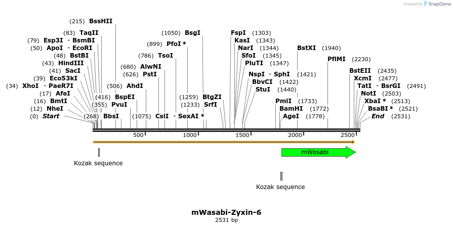 87407_map