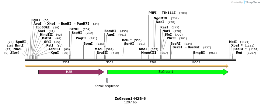 87408_map