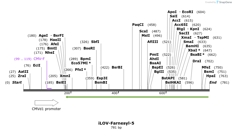 87410_map