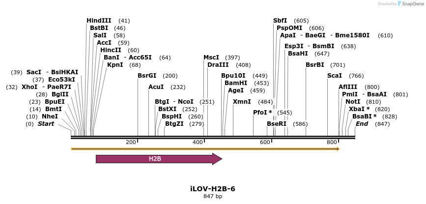 87412_map