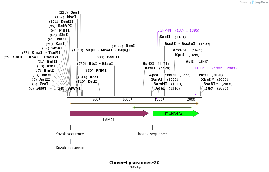 87421_map