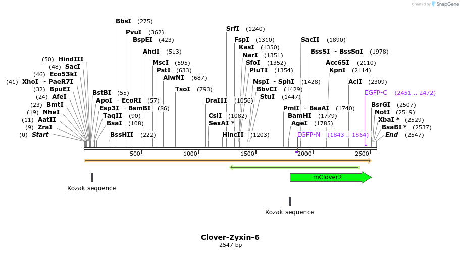 87424_map