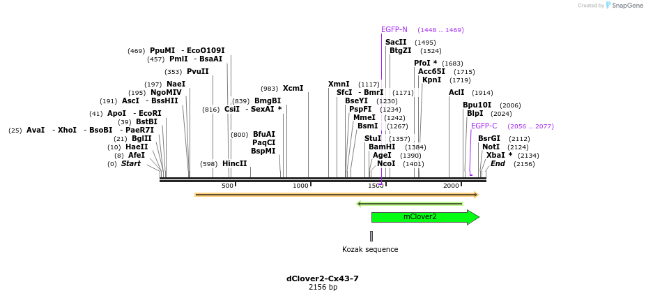 87425_map