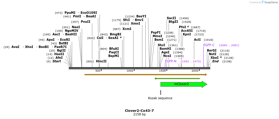 87427_map