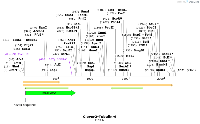 87429_map