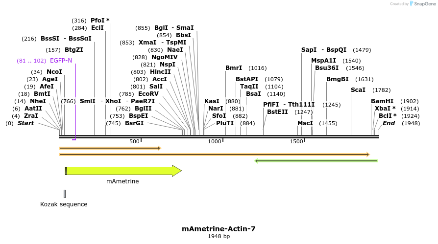 87430_map