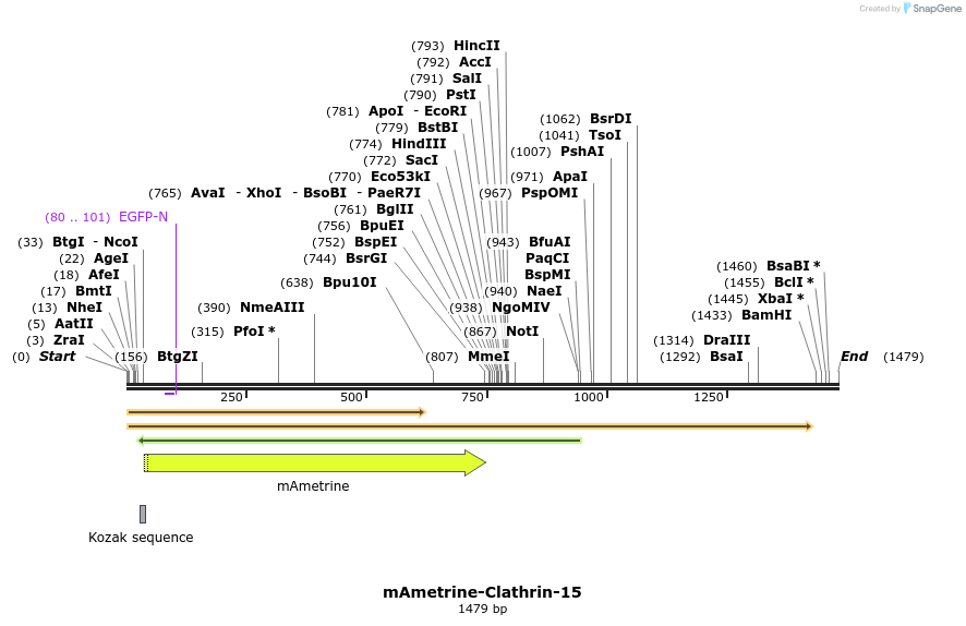 87431_map