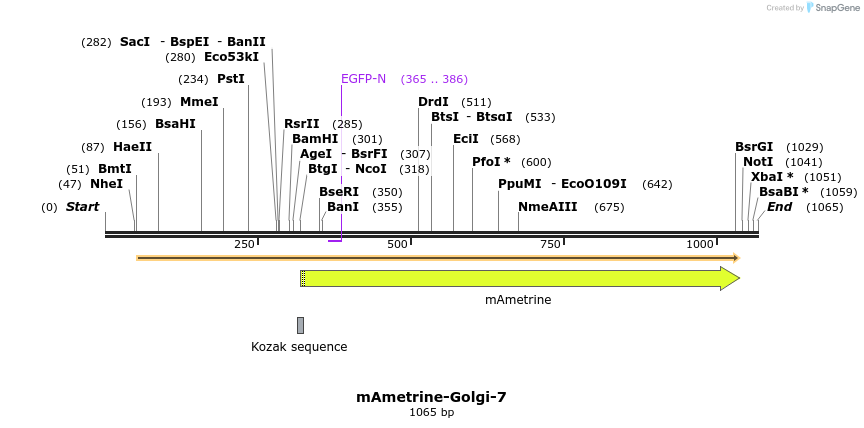 87434_map