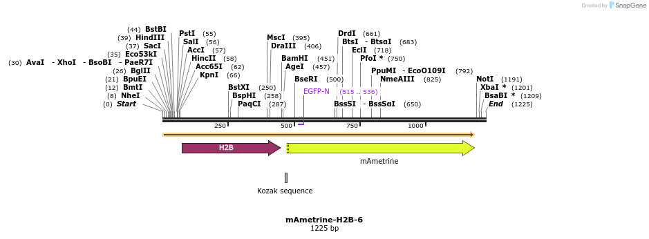 87435_map